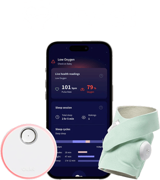 img-owlet-transparent